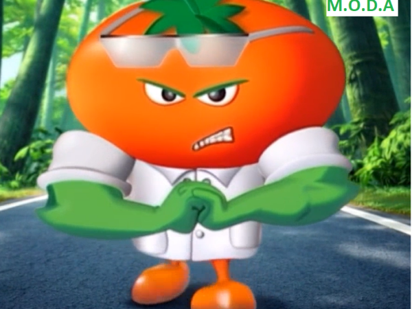 MOVIMENTO ORGANIZADO PARA O DESENVOLVIMENTO DA AMAZÔNIA ALERTA  SOBRE ESTUDOS DO PRÓPRIO DNIT SOBRE A BR-319: O trecho do meio consumirá R$1,4 bilhão dos cofres&nbsp;públicos